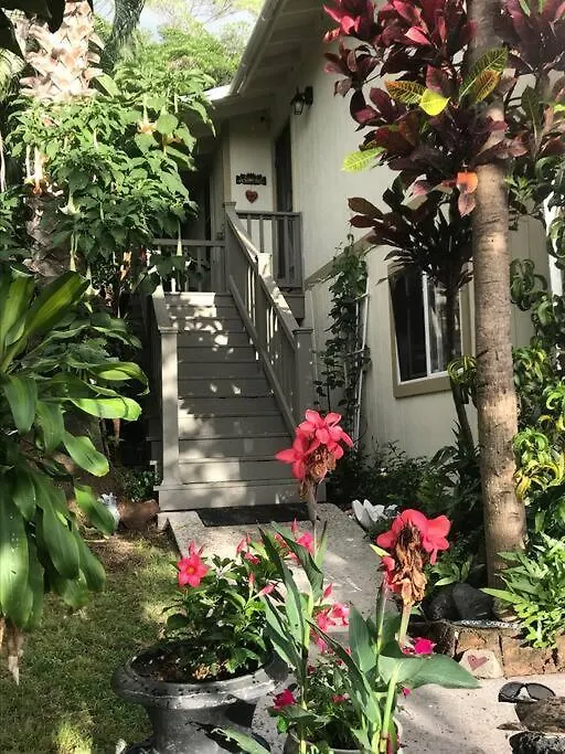 Hale Akala Lovely Ocean View Home カイルア・コナ 別荘